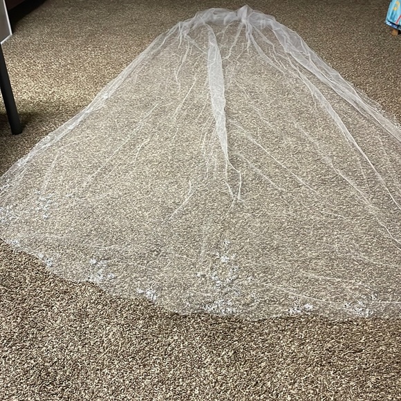 Beautiful cathedral veil
